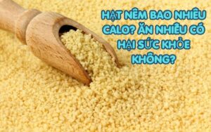 hat nem bao nhieu calo 1