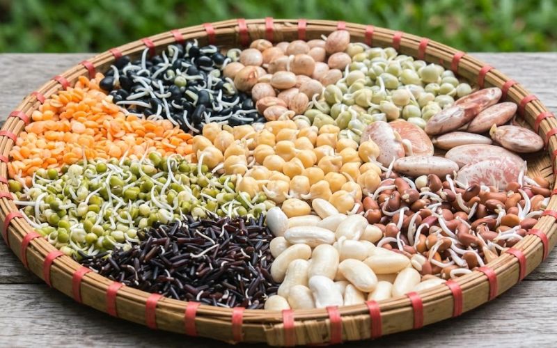 Các loại đậu hạt nảy mầm