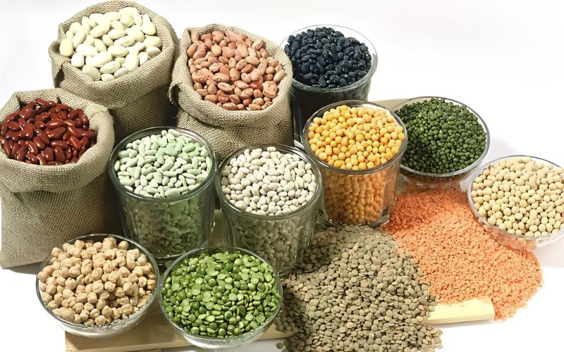 Lưu ý khi làm bột ngũ cốc nảy mầm tại nhà và tiêu chuẩn lựa chọn 