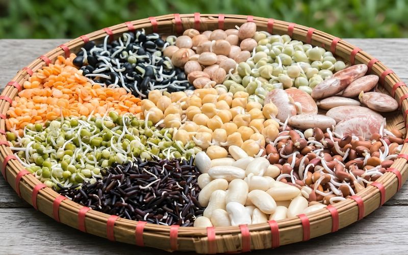 Ngũ cốc nảy mầm