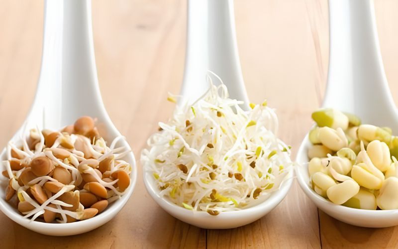 Hạt đậu nảy mầm có ăn được không và có tốt không?