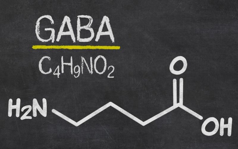 Bột dinh dưowxng nảy mầm chứa hàm lượng hoạt chất GABA và Vitamin tăng vọt giúp ngủ ngon, giảm stress