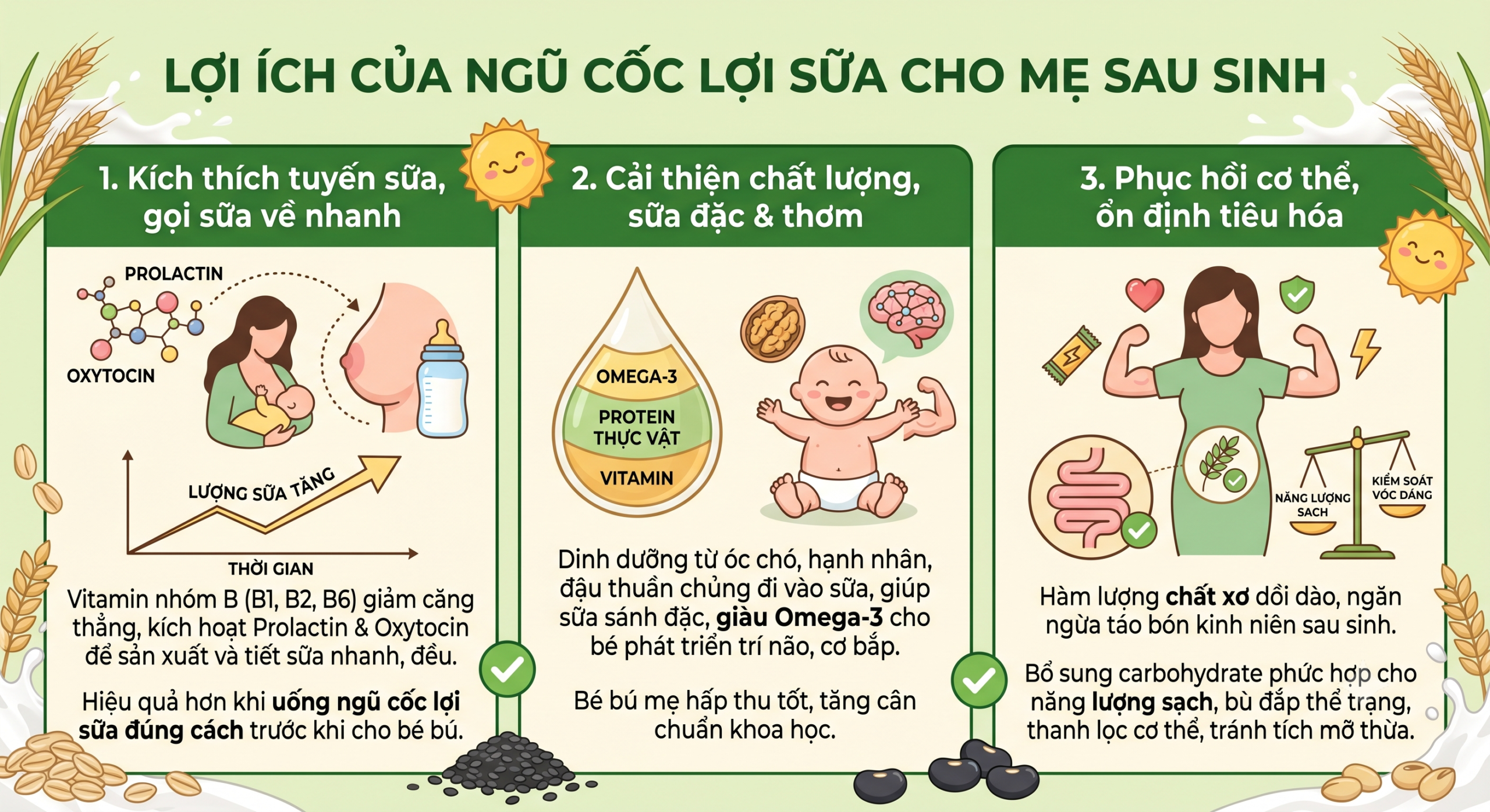 Lợi ích của ngũ cốc lợi sữa cho mẹ sau sinh
