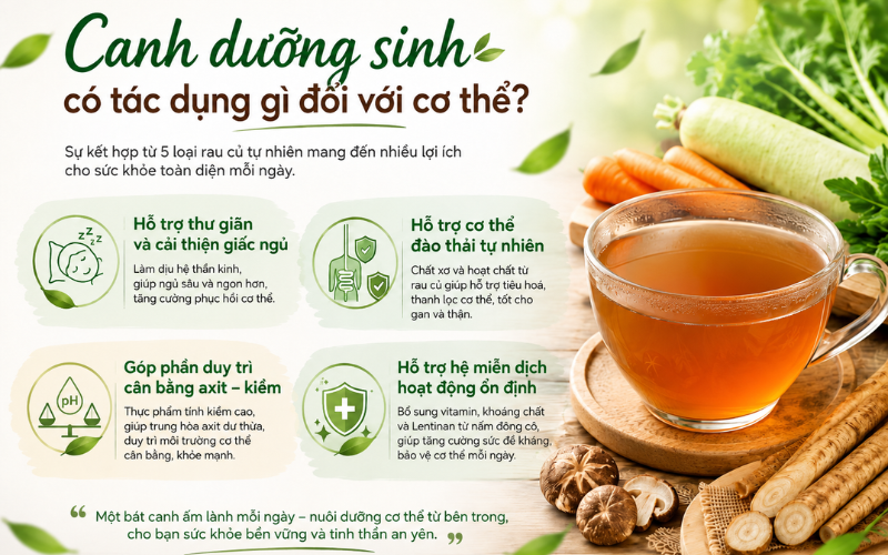 Canh dưỡng sinh Hỗ trợ thư giãn và cải thiện chất lượng giấc ngủ