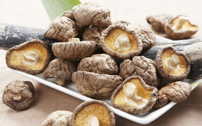 Nấm đông cô có vị ngọt, tính bình, đi vào kinh Can và Thận