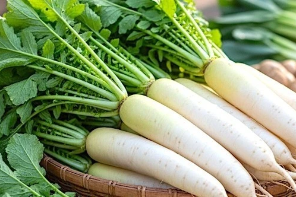 Lá củ cải trắng trong công thức canh dưỡng sinh
