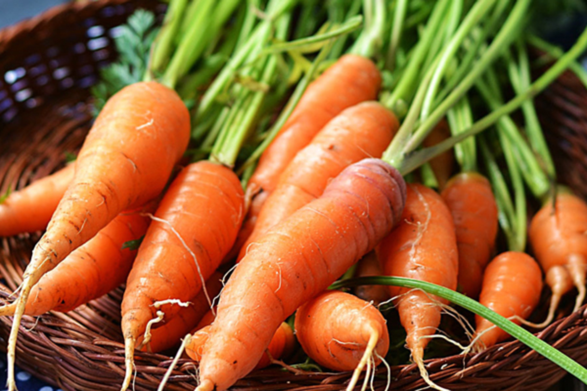 Cà rốt dùng nấu canh dưỡng sinh Nhật Bản